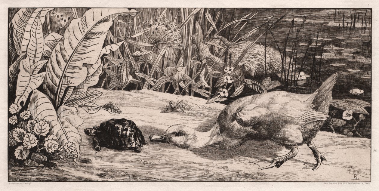 Bilinmeyen by Felix Bracquemond