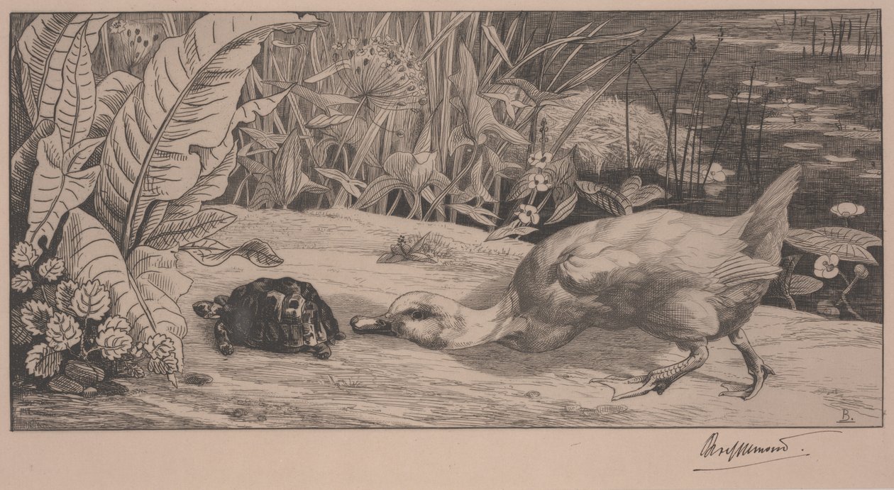 Bilinmeyen by Felix Bracquemond