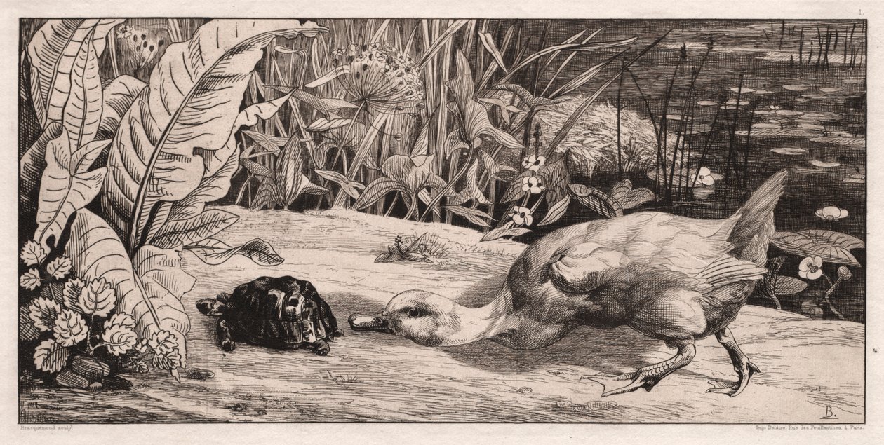 Bilinmeyen, 1862. by Felix Bracquemond