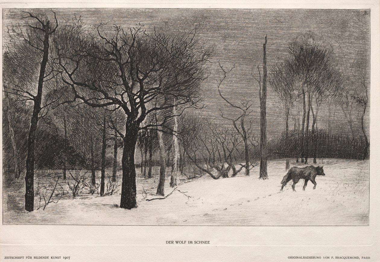 Kış, 1862. by Felix Bracquemond