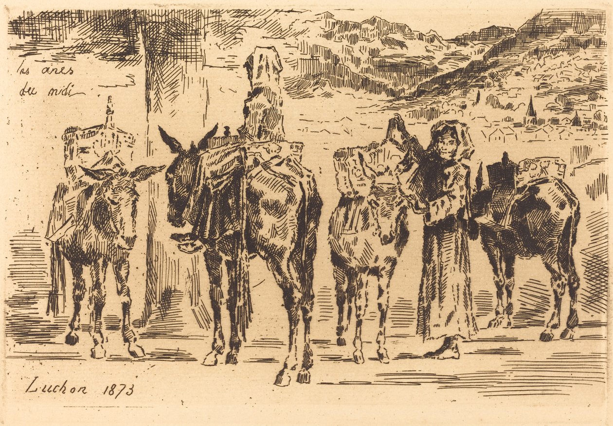 Güneyden eşek yaprakları, 1873. by Felix Hilaire Buhot