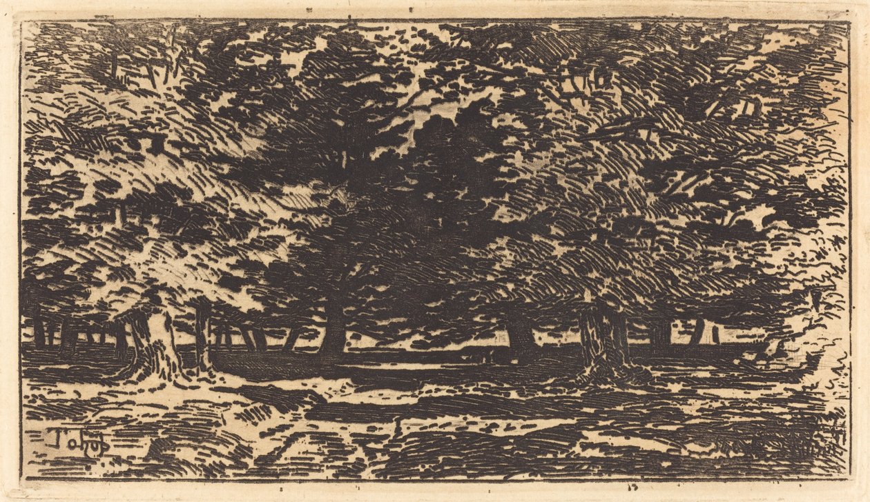 Orman. by Felix Hilaire Buhot