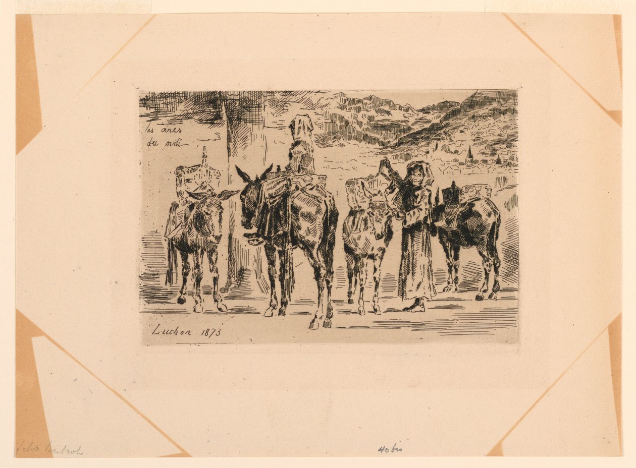 Güney