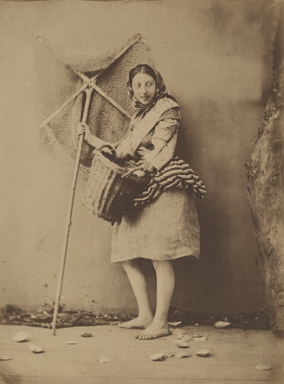  by Félix Jacques Antoine Moulin