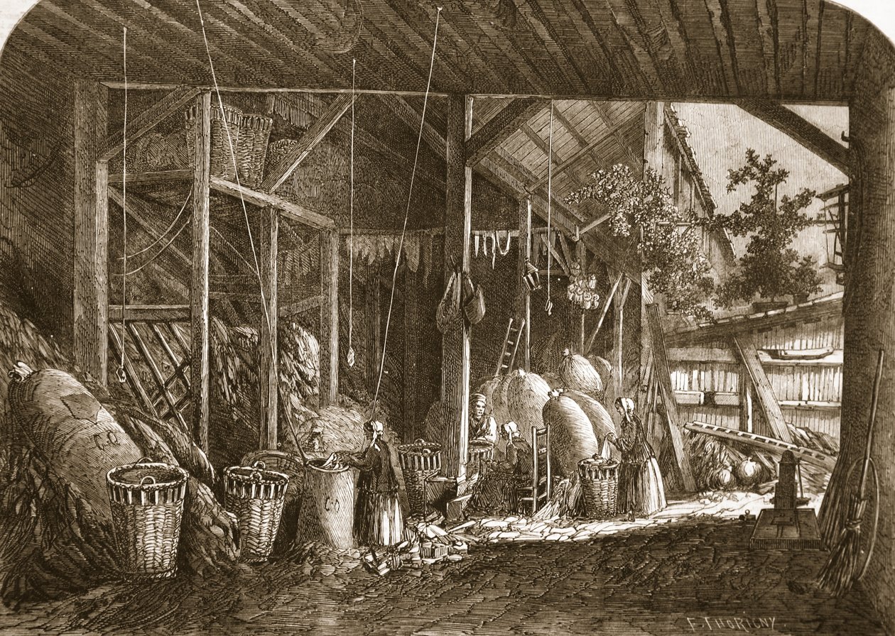 Paris'teki Quartier Mouffetard'da bir paçavra deposu, 'The Illustrated London News'den bir çizim, 8 Haziran 1861 by Felix Thorigny
