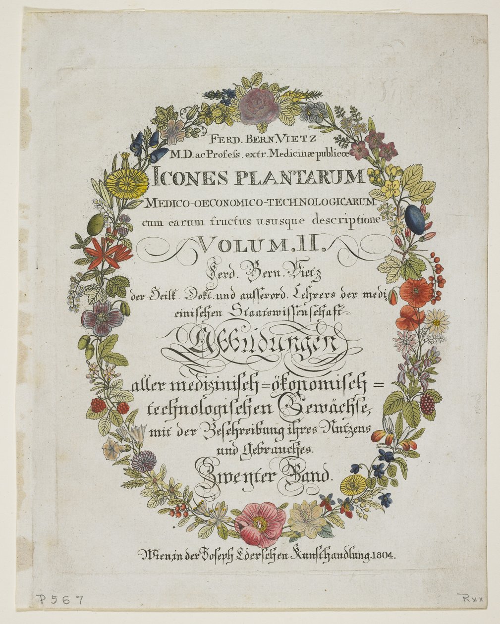 Frontispiece ve Başlık Sayfası, Cilt. II, Medico-Ekonomik-Teknolojiden Bitkilerin Meyveleri ve Kullanımları ile İkonlarından Açıklama, 1804 (el renkli gravür) by Ferdinand Bernhard Vietz