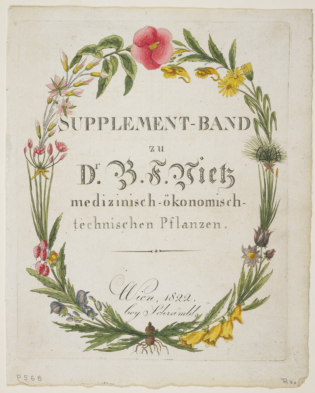 Ek-Band zu Dr. B. F. Vietz medizinisch-okonomisch-technischen Pflanzen by Ferdinand Bernhard Vietz
