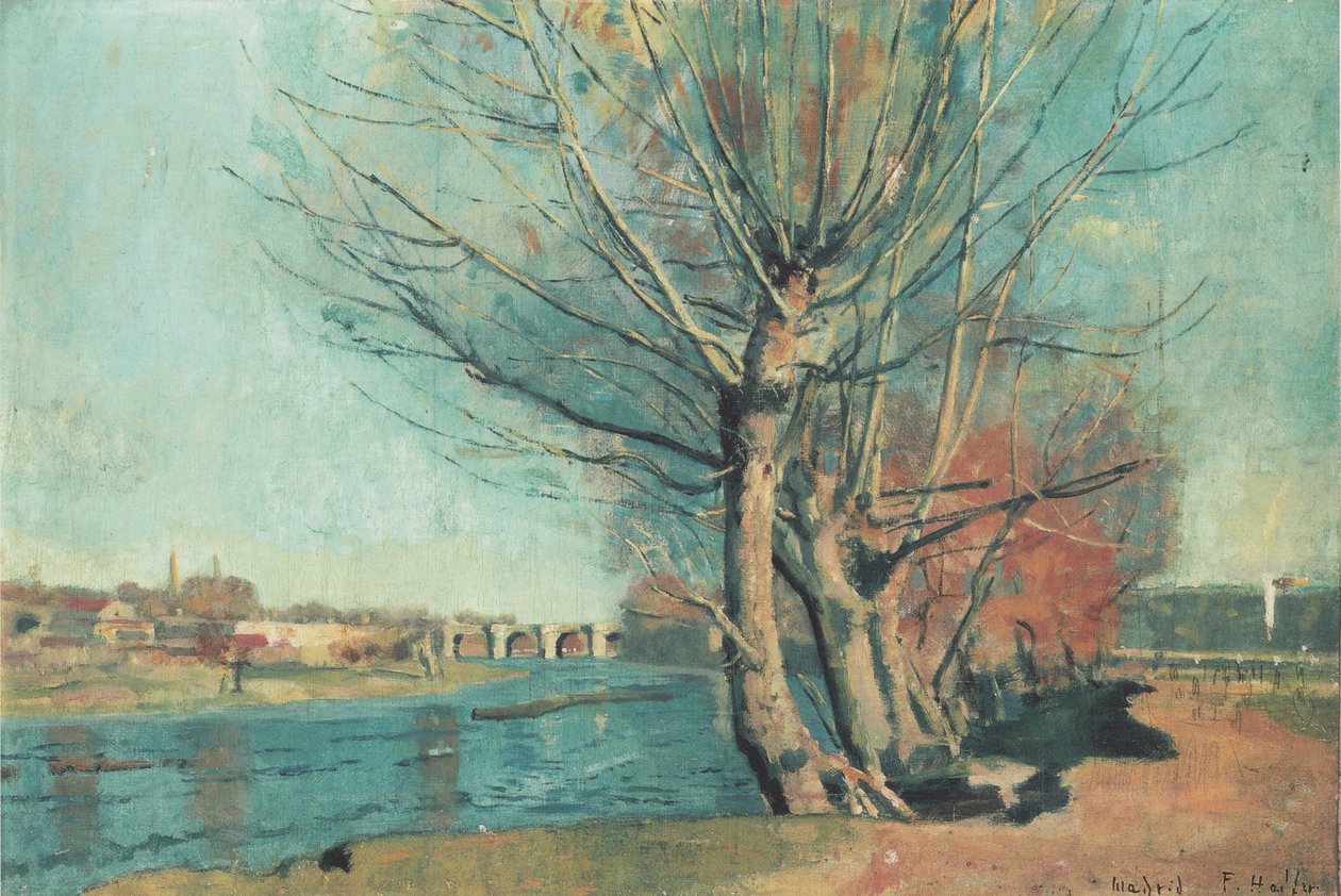Ufer des Manzanares