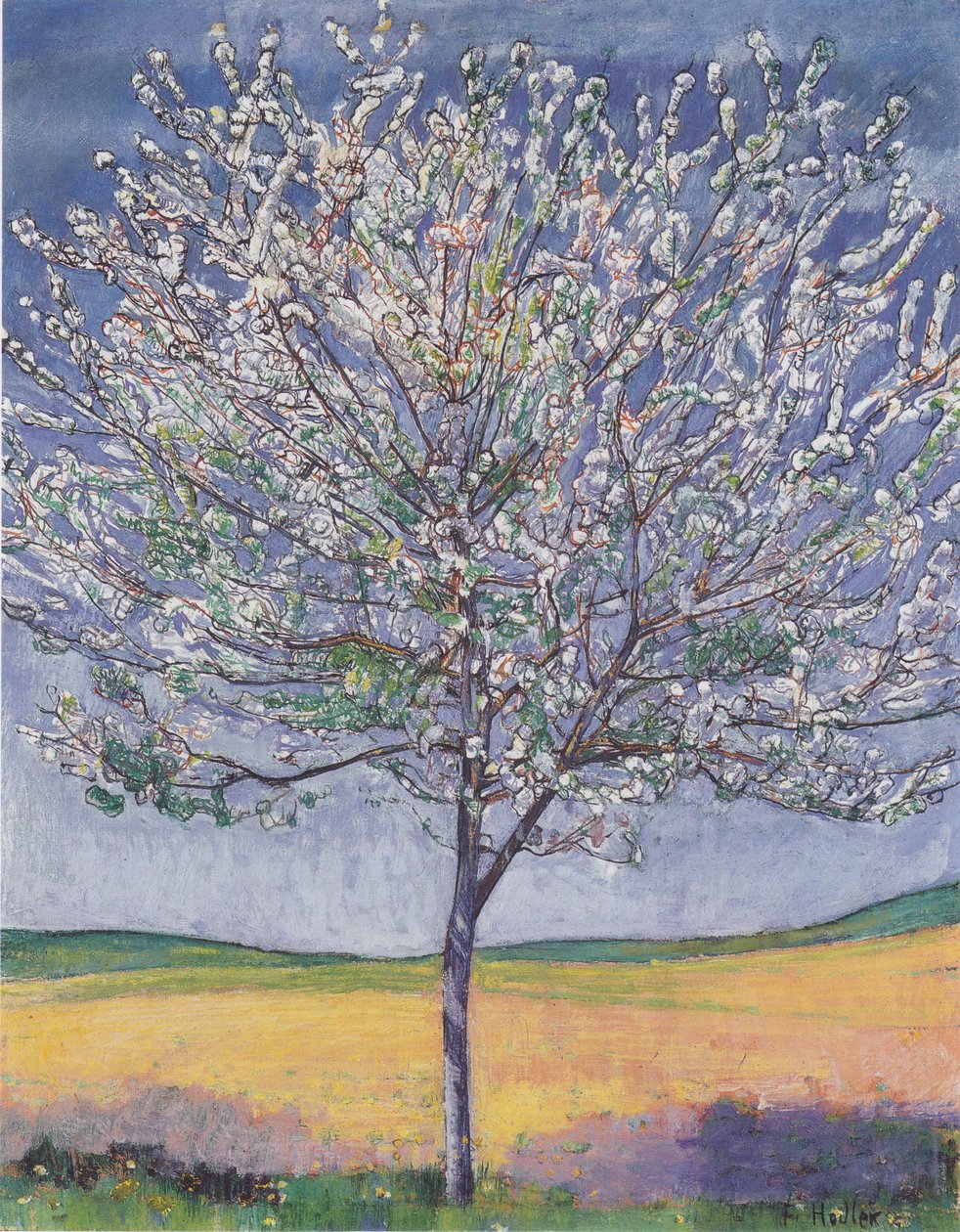 çiçek açan kiraz ağacı by Ferdinand Hodler