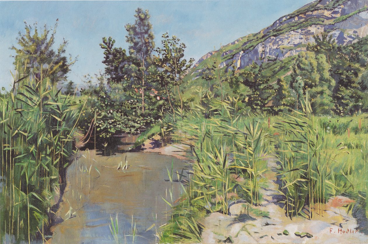 Veyrier yakınındaki gölet manzarası by Ferdinand Hodler