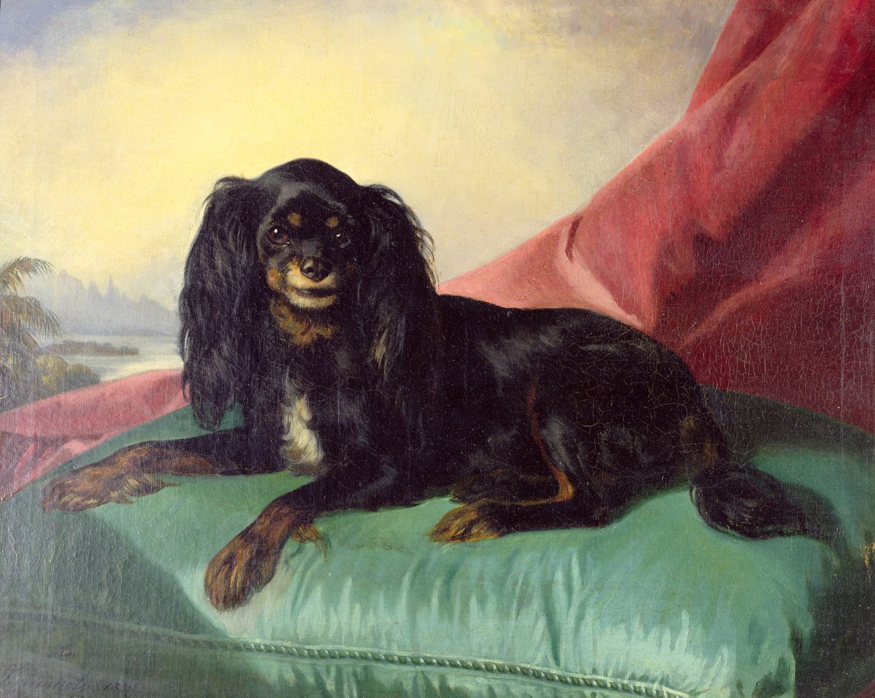 Yeşil Yastık Üzerinde Bir Kral Charles Spaniel by Ferdinand Krumholz