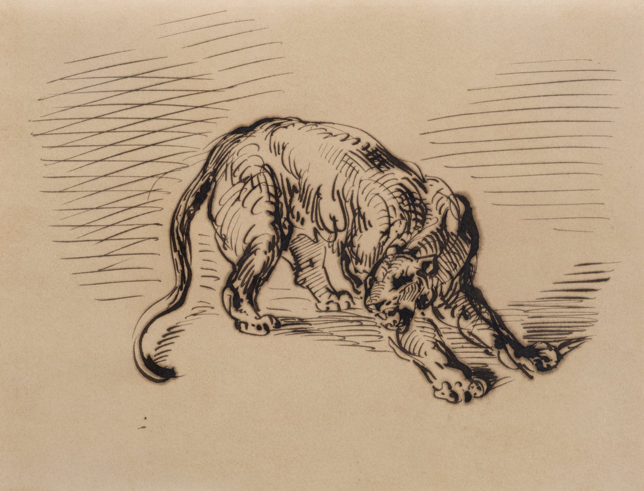 Yılan Tarafından Korkmuş Kaplan, 1858 (aydınger kağıdı üzerine kalem ve mürekkep) by Ferdinand Victor Eugene Delacroix