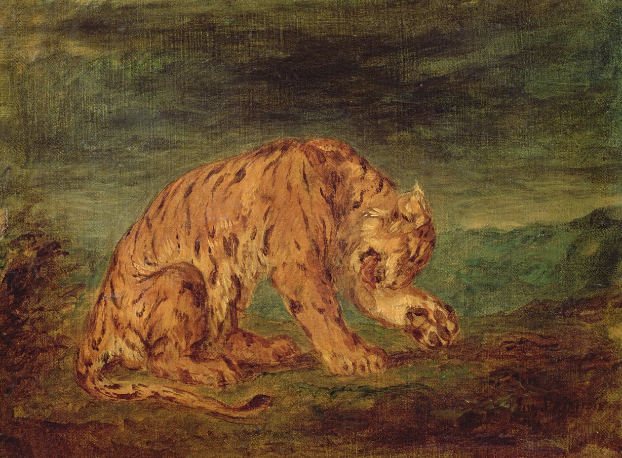 Bir pençe yalama kaplan by Ferdinand Victor Eugene Delacroix