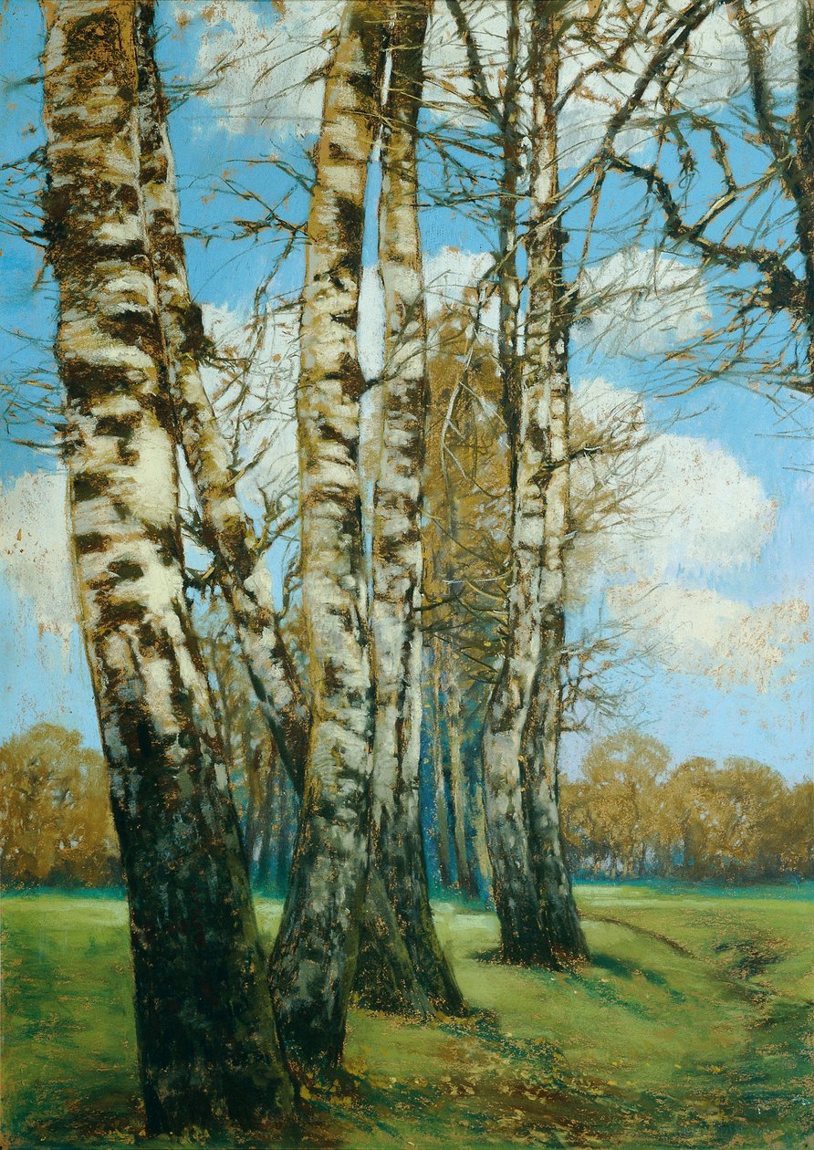 Birken by Ferdinand Engelmuller