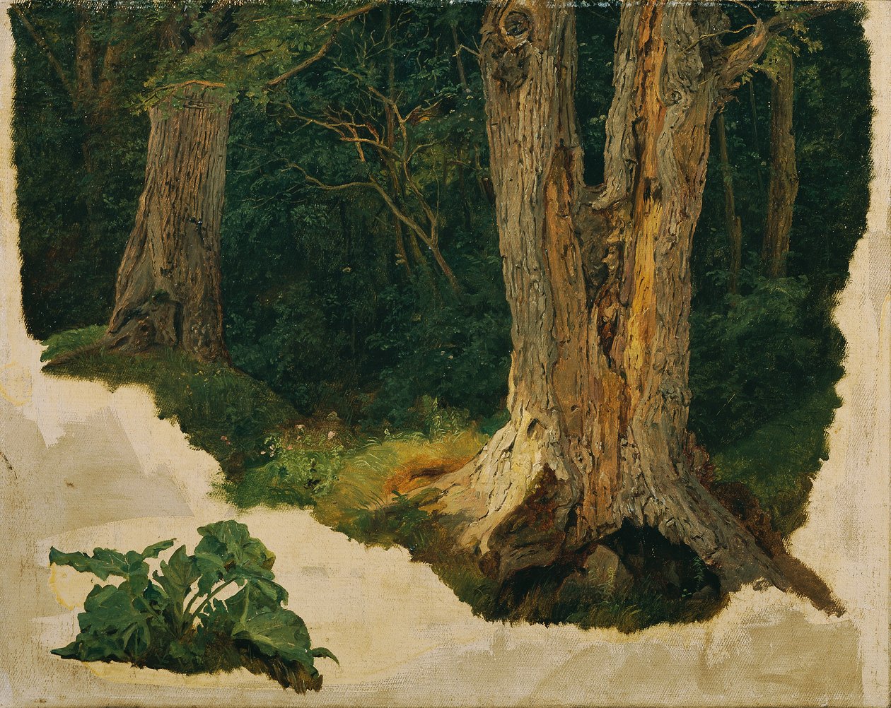 ağaç çalışması by Ferdinand Georg Waldmuller