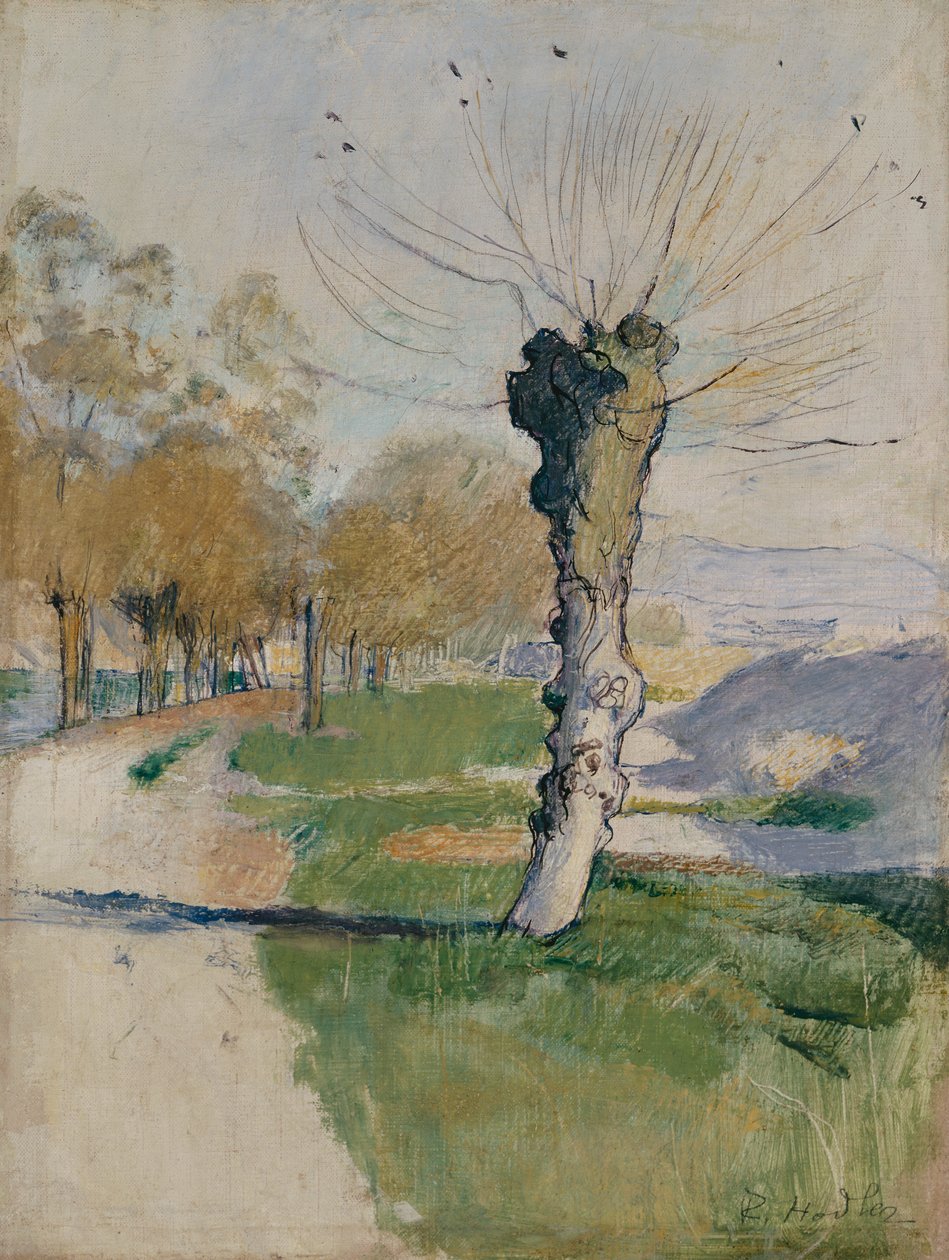 Kavşakta Söğüt Ağacı veya İlkbaharda Söğüt Ağacı, 1885 dolayları (tuval üzerine yağlı boya) by Ferdinand Hodler