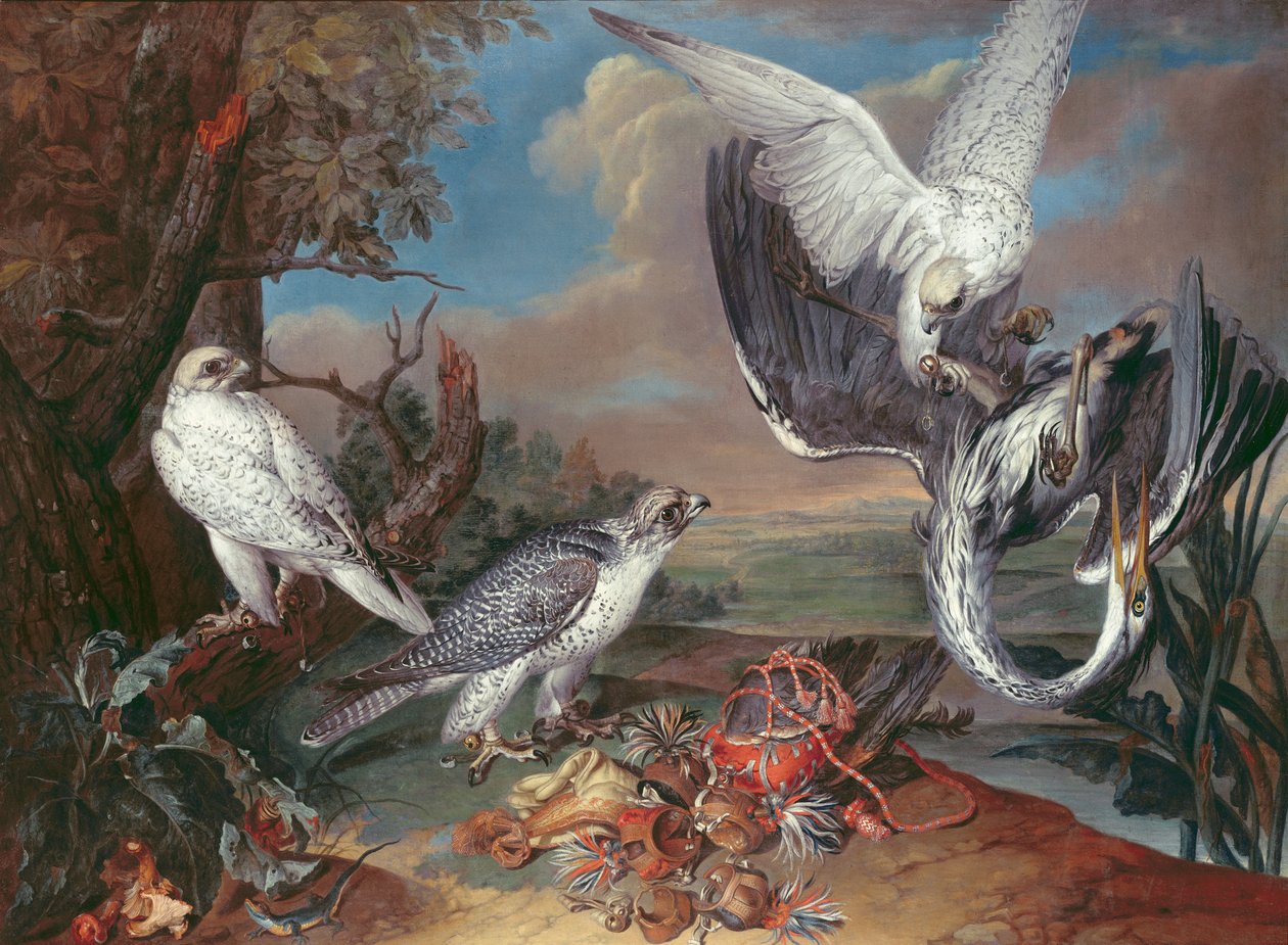 Grönland Cyr Şahinleri by Ferdinand Phillip de Hamilton