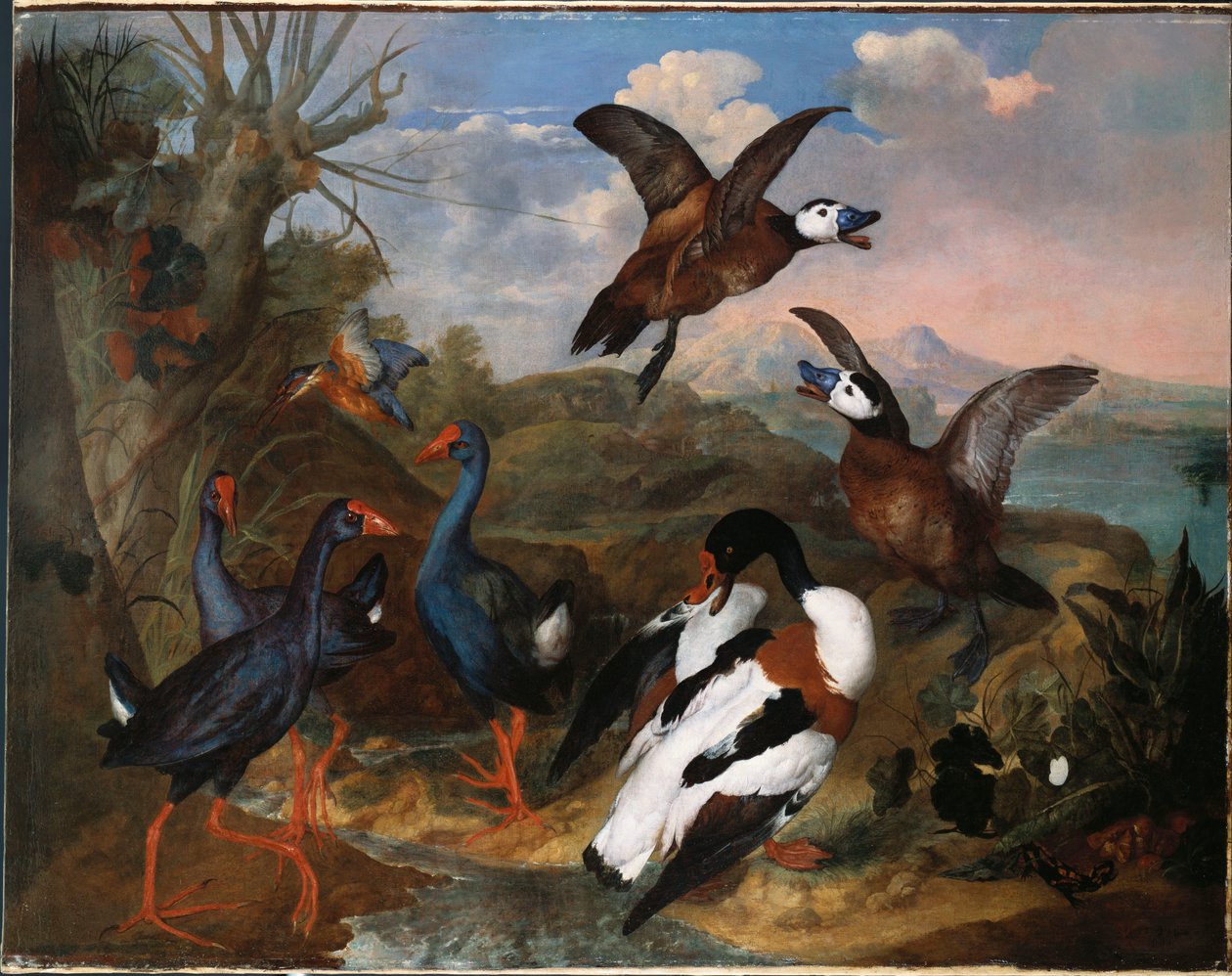 Bir Manzarada Kabuklu Ördekler ve Diğer Kanatlılar, 1720 by Ferdinand Phillip de Hamilton