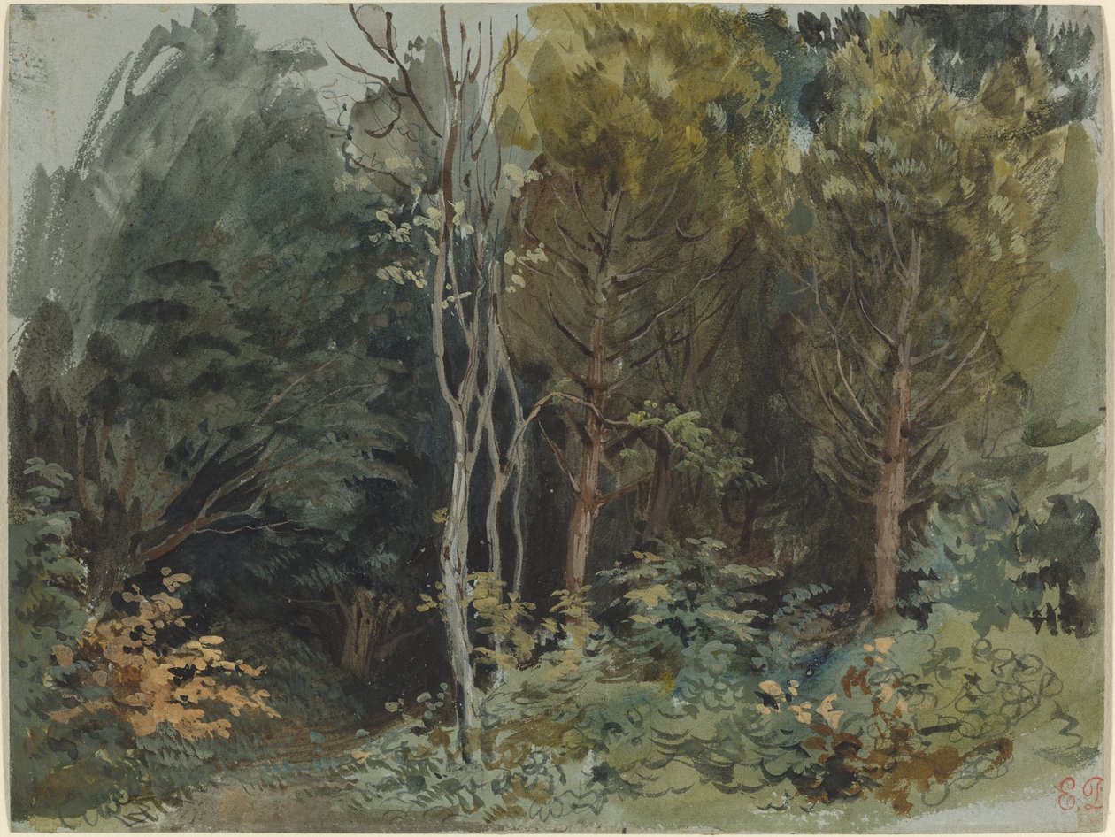 Nohant'ta Ormanın Kenarı , c. 1842-1843 (suluboya) by Ferdinand Victor Eugene Delacroix