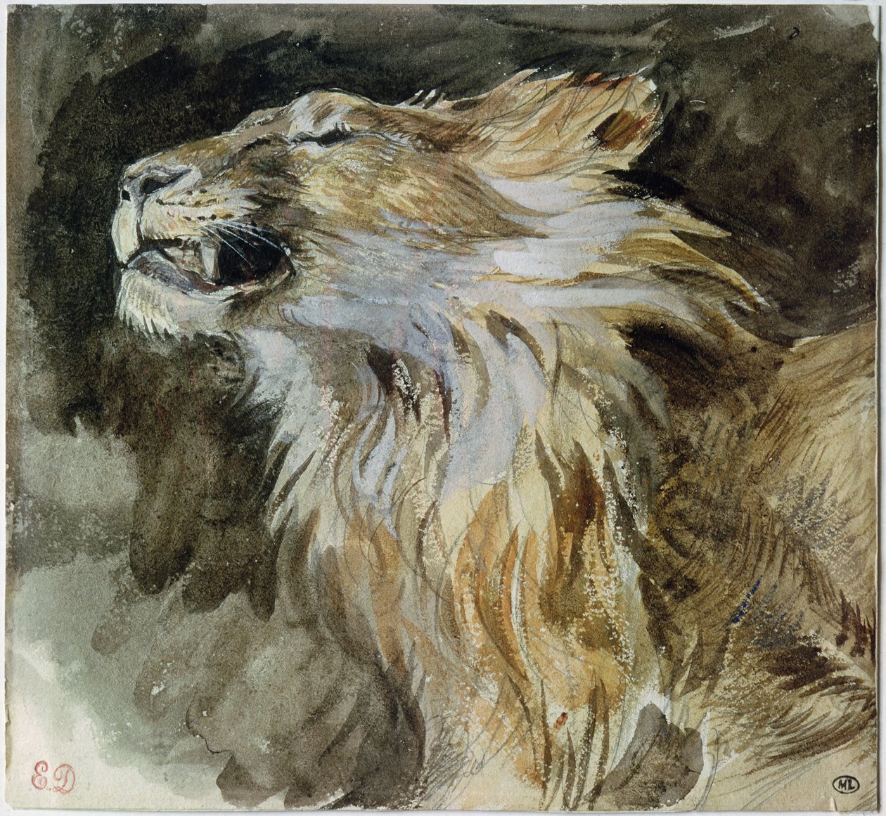Aslan Başı (kağıt üzerine sulu boya) by Ferdinand Victor Eugene Delacroix
