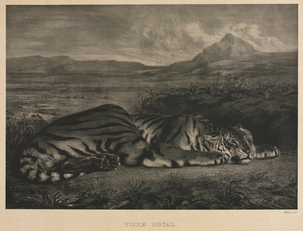Kraliyet Kaplanı, 1829. by Ferdinand Victor Eugene Delacroix