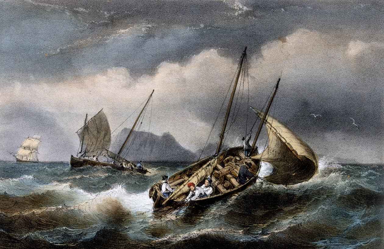 Bretogne kıyılarında sardalya balıkçılığı, Ferdinand Perrot tarafından renkli litografi (1808-1841) by Ferdinand Victor Perrot