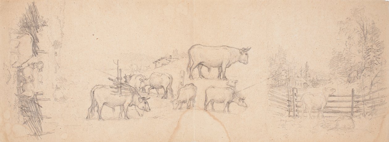 Çeşitli inek ve boğa çizimleri by Ferdinand von Wright