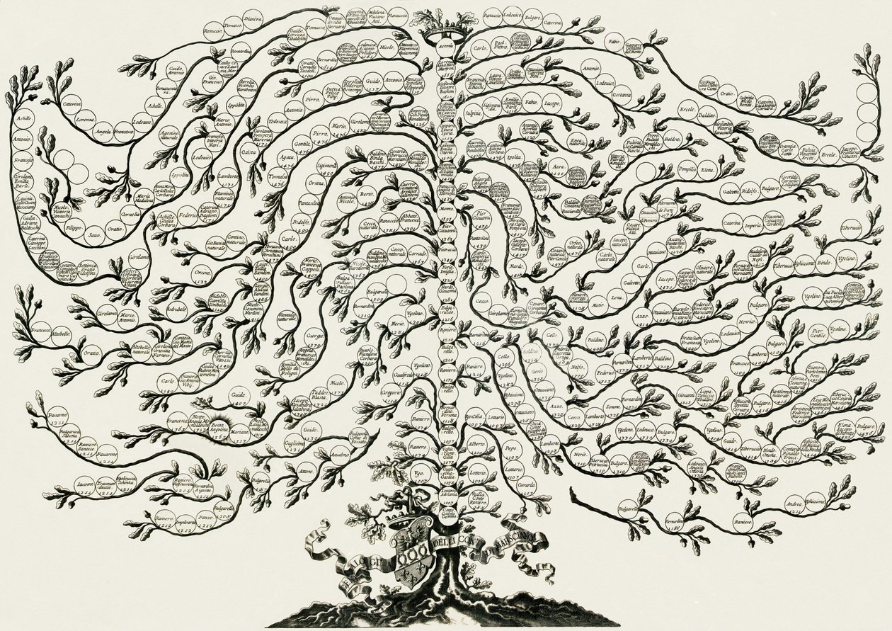 Marsciano ughelli soy ağacı by Ferdinando Ughelli