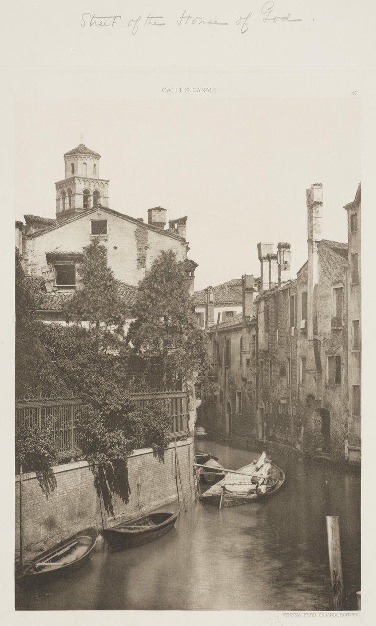Tanrı