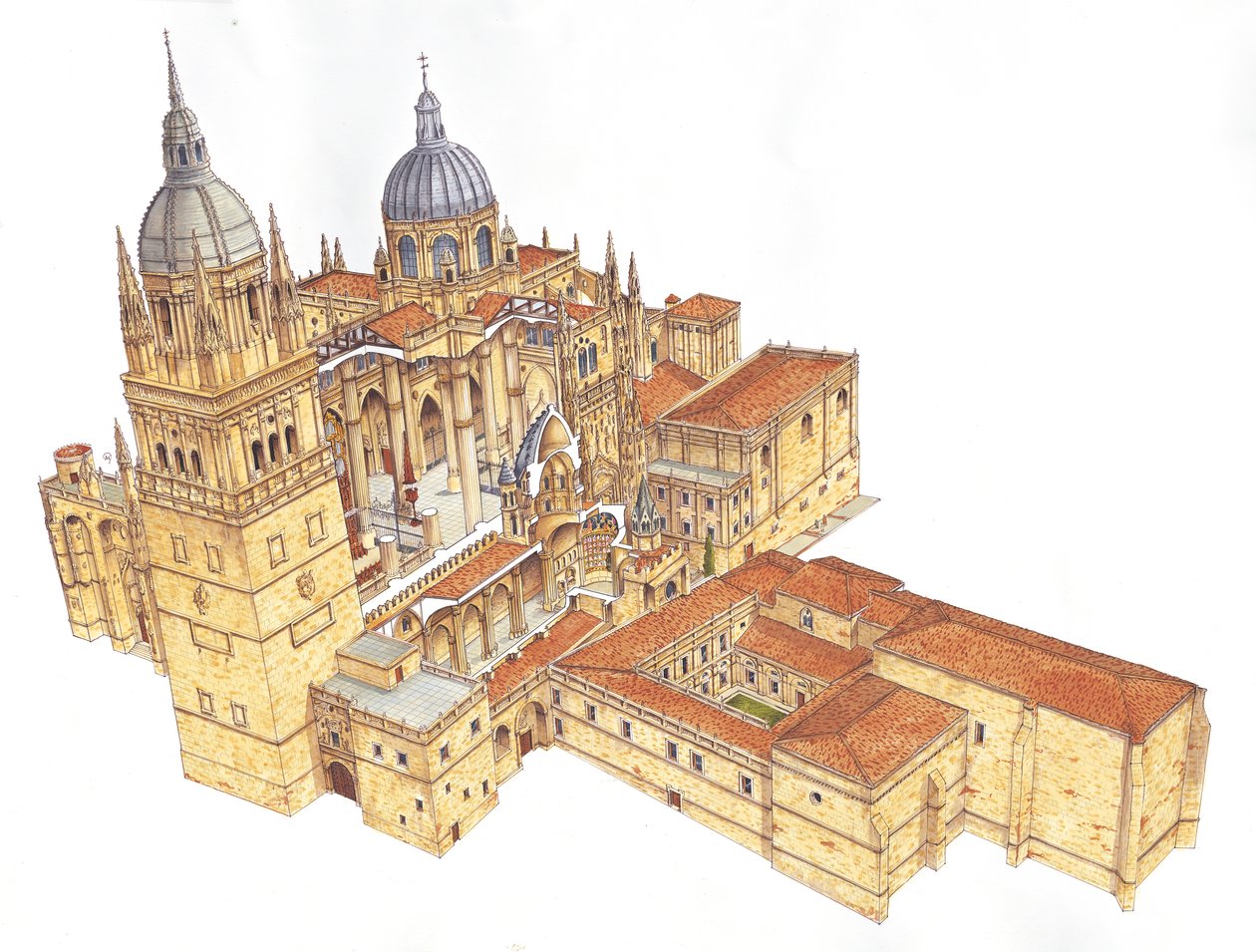Salamanca Katedrali. ispanya by Fernando Aznar Cenamor