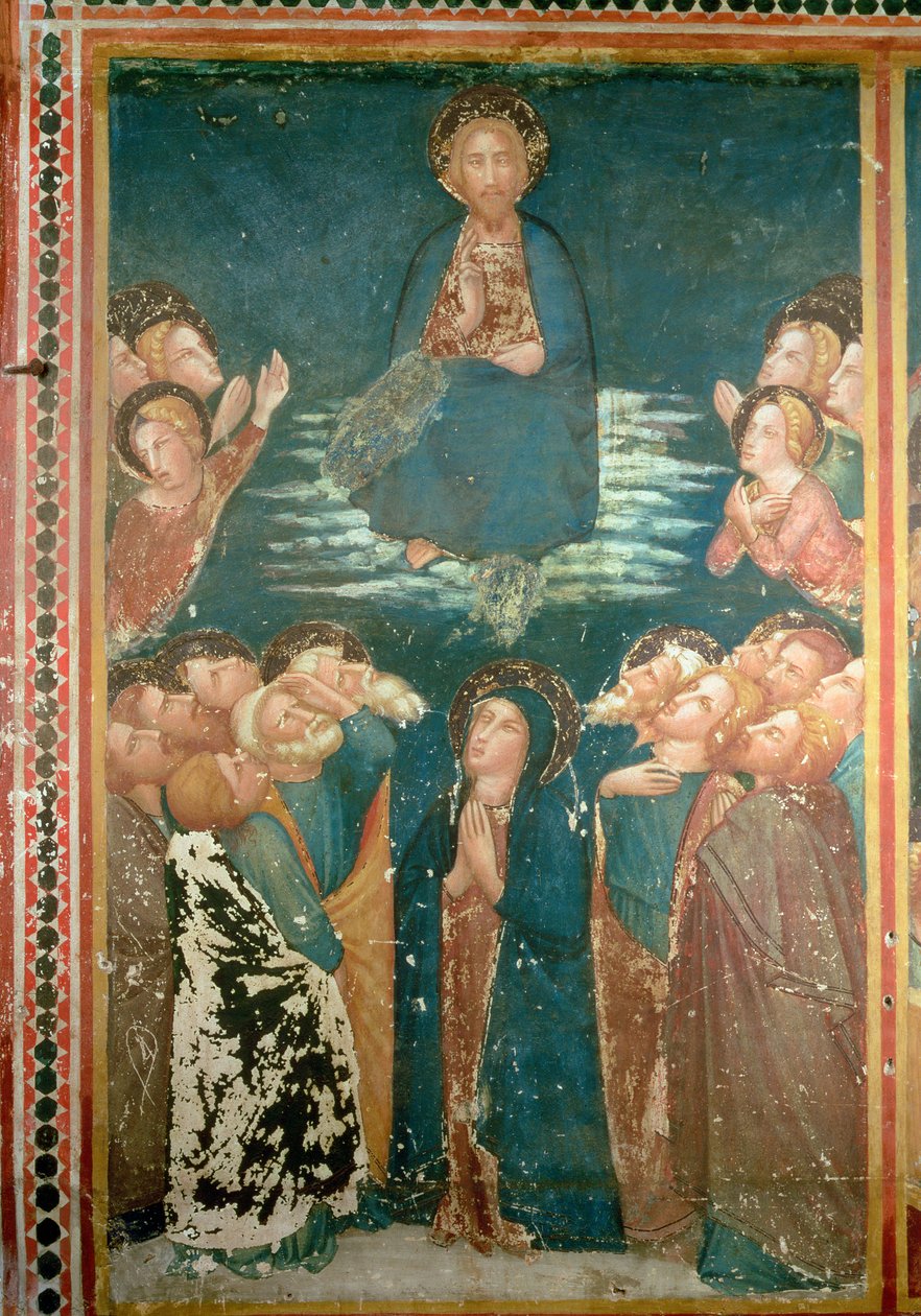 Havariler ve Meryem Ana ile çevrili Mesih'in Yükselişi (fresk) by Ferrer Bassa