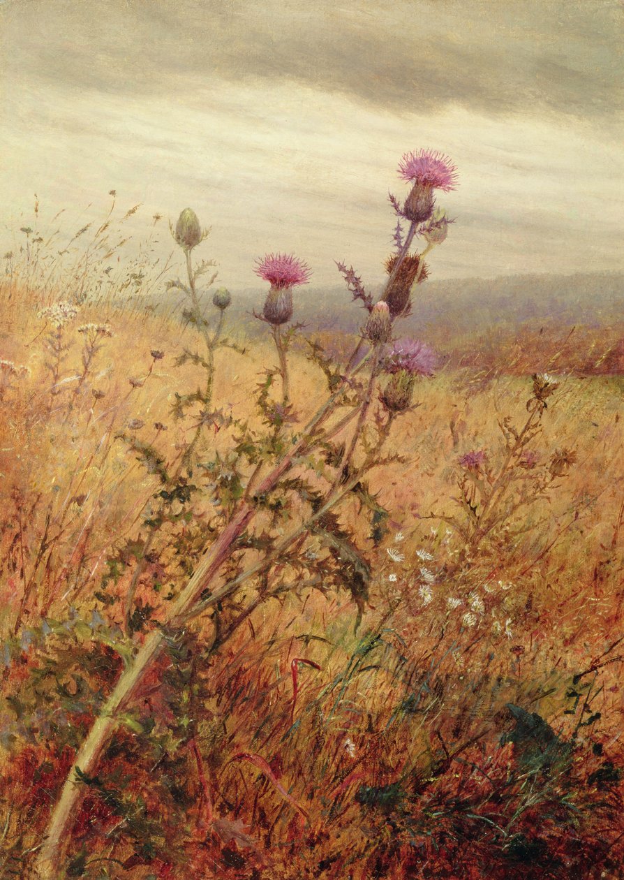 Tarlada Devedikeni, 1875 by Fidelia Bridges