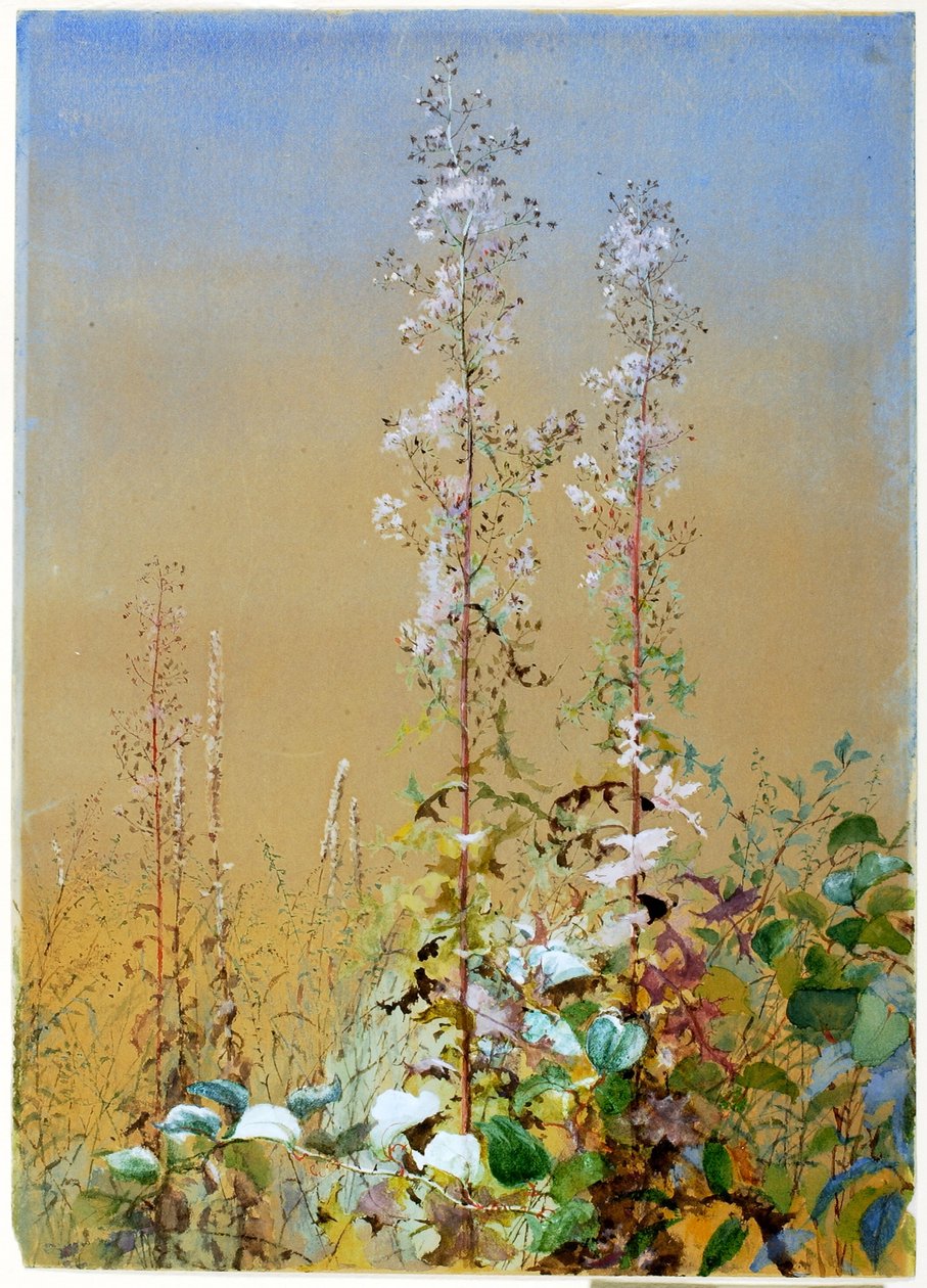  by Fidelia Bridges