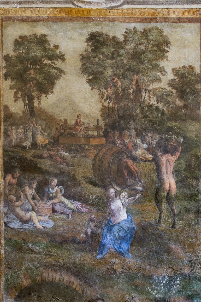 "Hasat", Camerino dei Baccanali