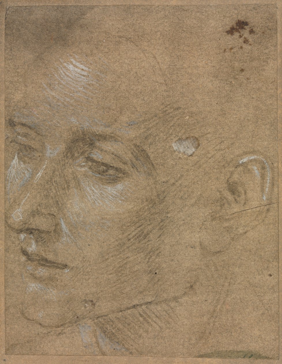 Bir Genç Adamın Başı, 1400