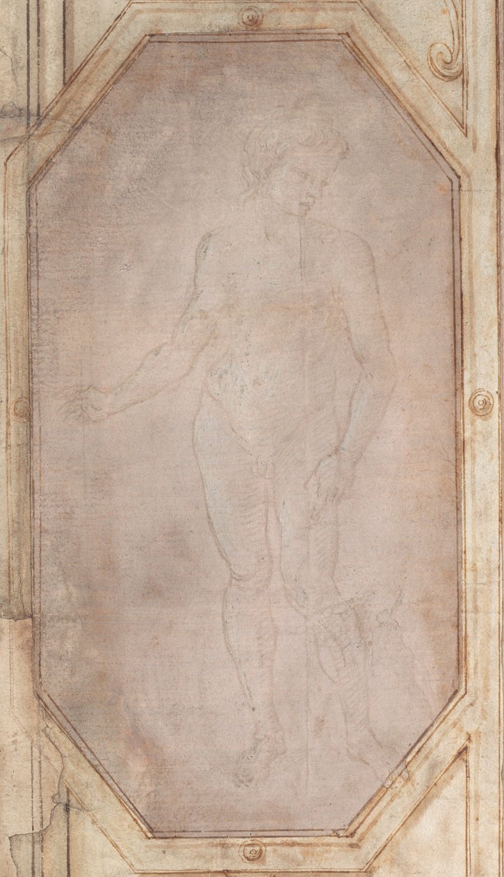 Çıplak Genç Ayakta by Filippino Lippi