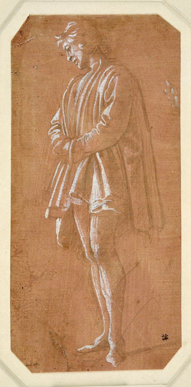 Elleri kollarında katlanmış duran genç bir adamın incelenmesi (pembe hazırlanmış kağıt üzerinde metalpoint, beyaz gövde rengiyle yükseltilmiş) by Filippino Lippi