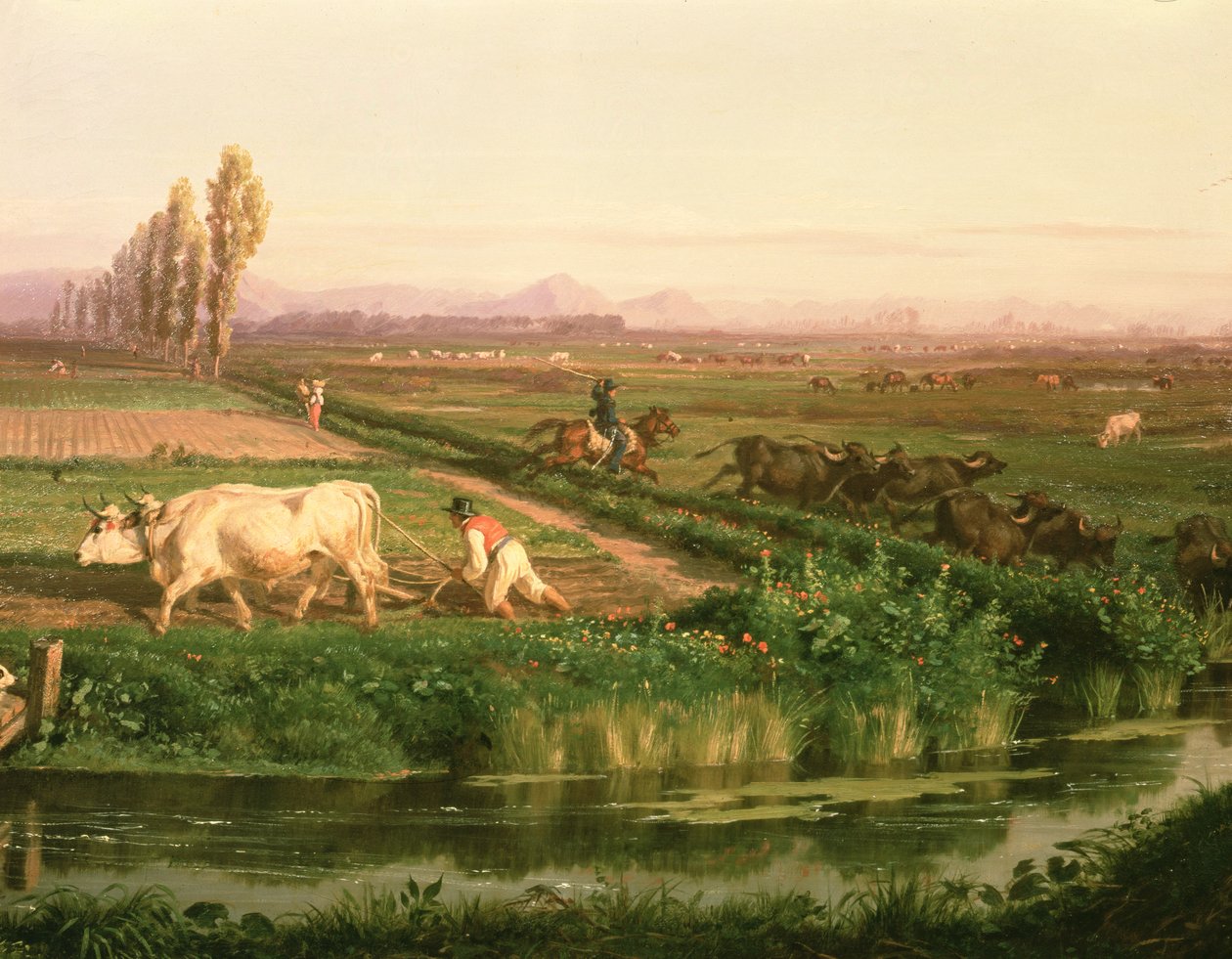 Carditello