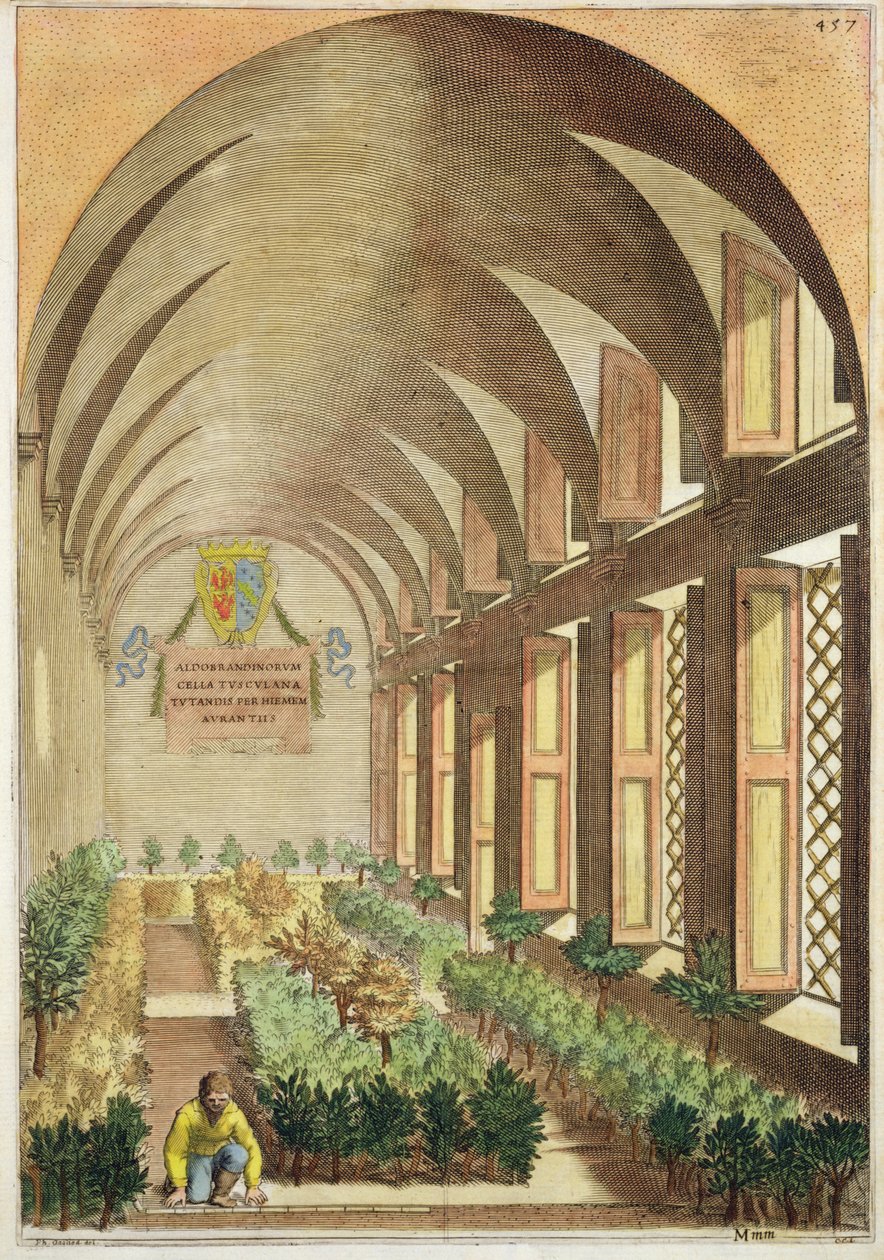 Bir serada narenciye ağaçları, Giovanni Battista Ferrari