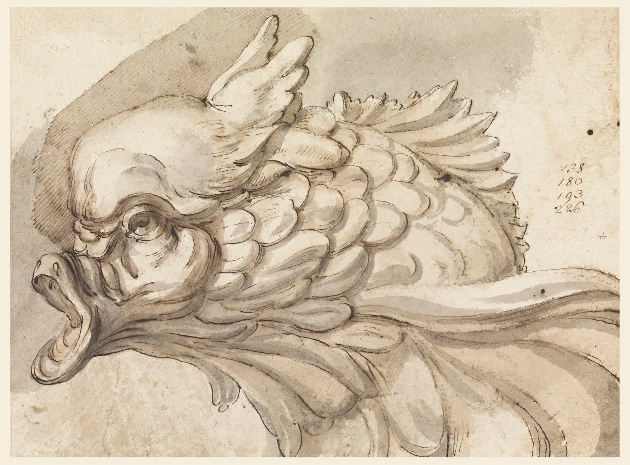 Çizim, Bir yunusun başı, ca. 1775 by Filippo Marchionni