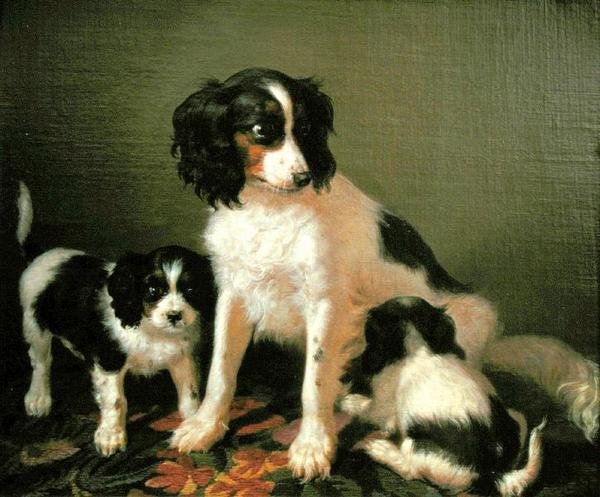 İki köpek yavrusu olan bir İspanyol (tuval üzerine yağlı boya) by Filippo Palizzi