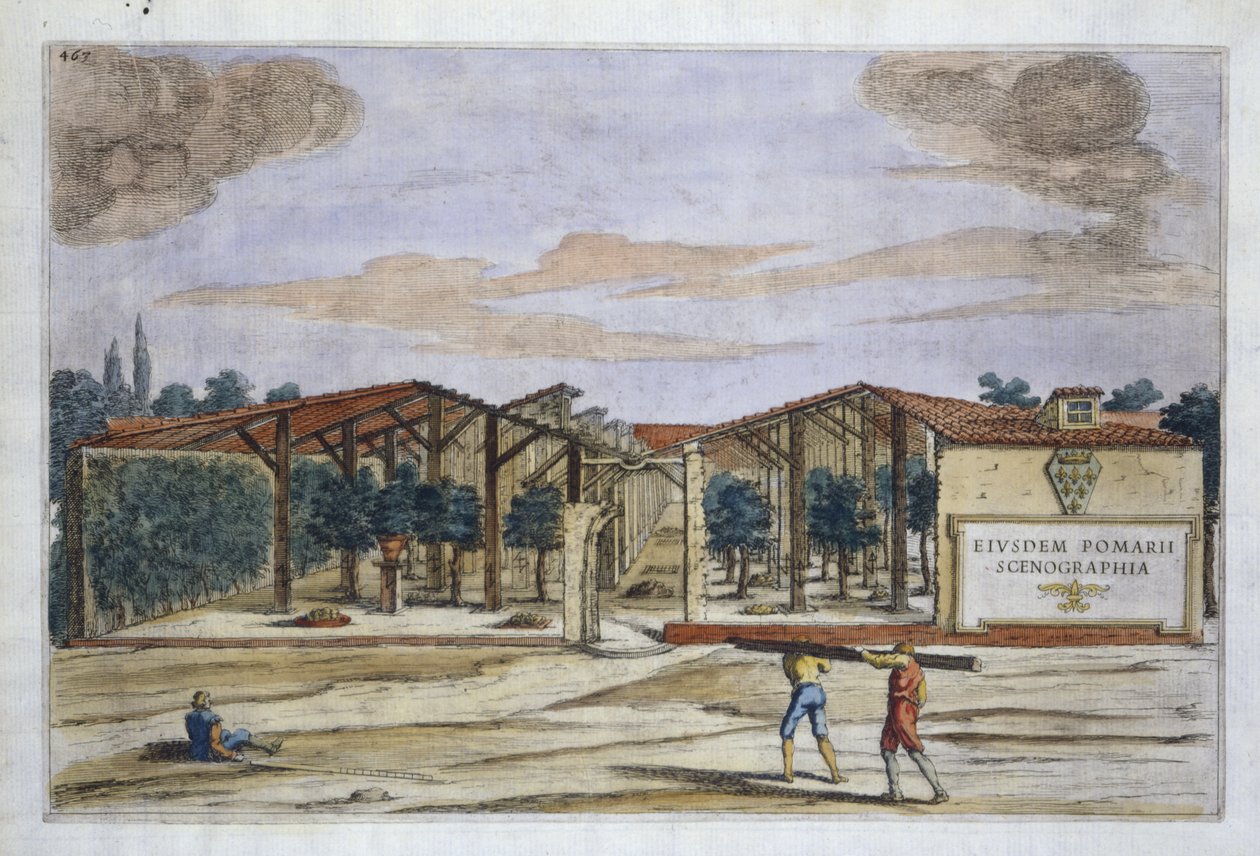 Giovanni Battista Ferrari tarafından Hesperides