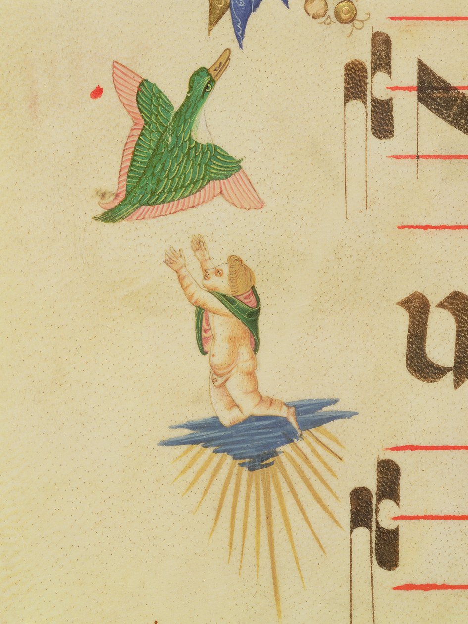 Missal 515 f.13v Dekoratif bir bordürden uçan bir kuşu yakalamaya çalışan pelerinli bir melek, 1449