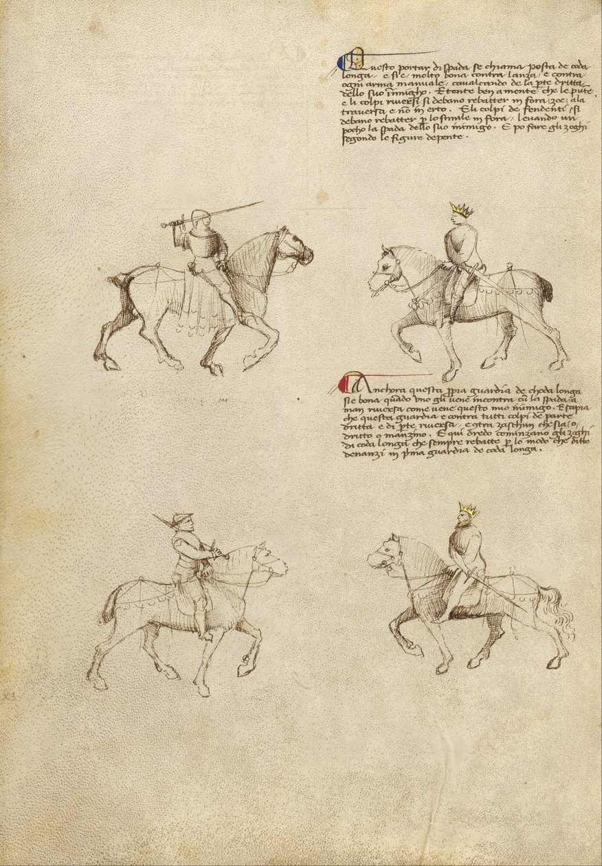 Özgürün Çiçeği by Fiore dei Liberi