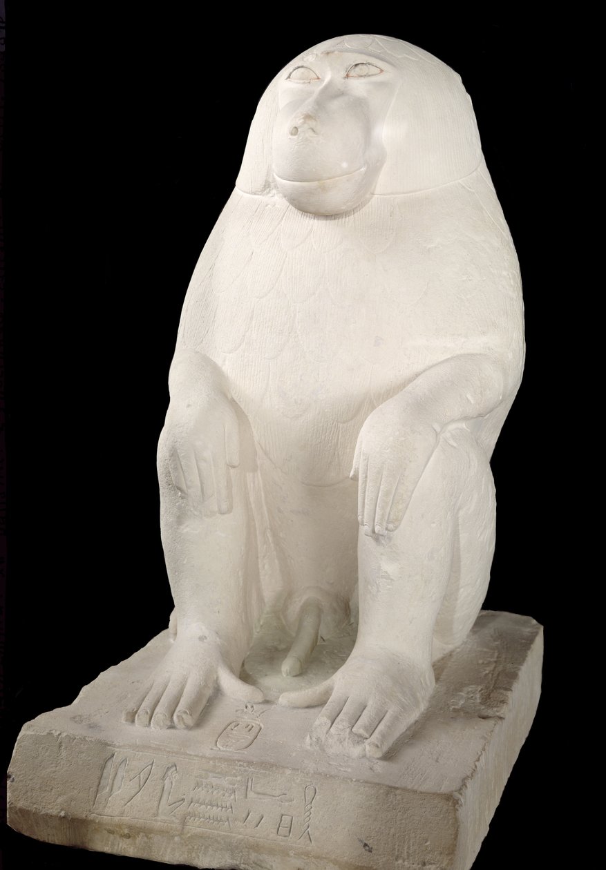 Babun, Orta Krallık, muhtemelen 7. Hanedan (kireçtaşı) by First Intermediate Period Egyptian