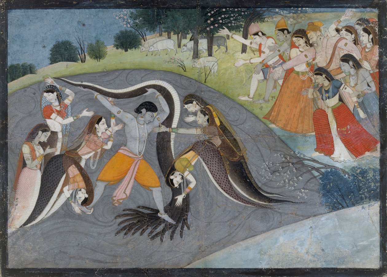 Krishna Subadung Kalia, Yılan Şeytan: Bir Bhagavata Purana Serisinden Folyo, yaklaşık. 1785. by First generation after Manaku and Nainsukh.