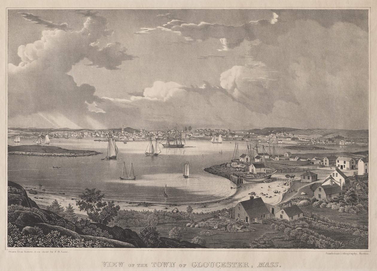 Gloucester Kasabasının Görünümü, Mass. by Fitz Henry Lane