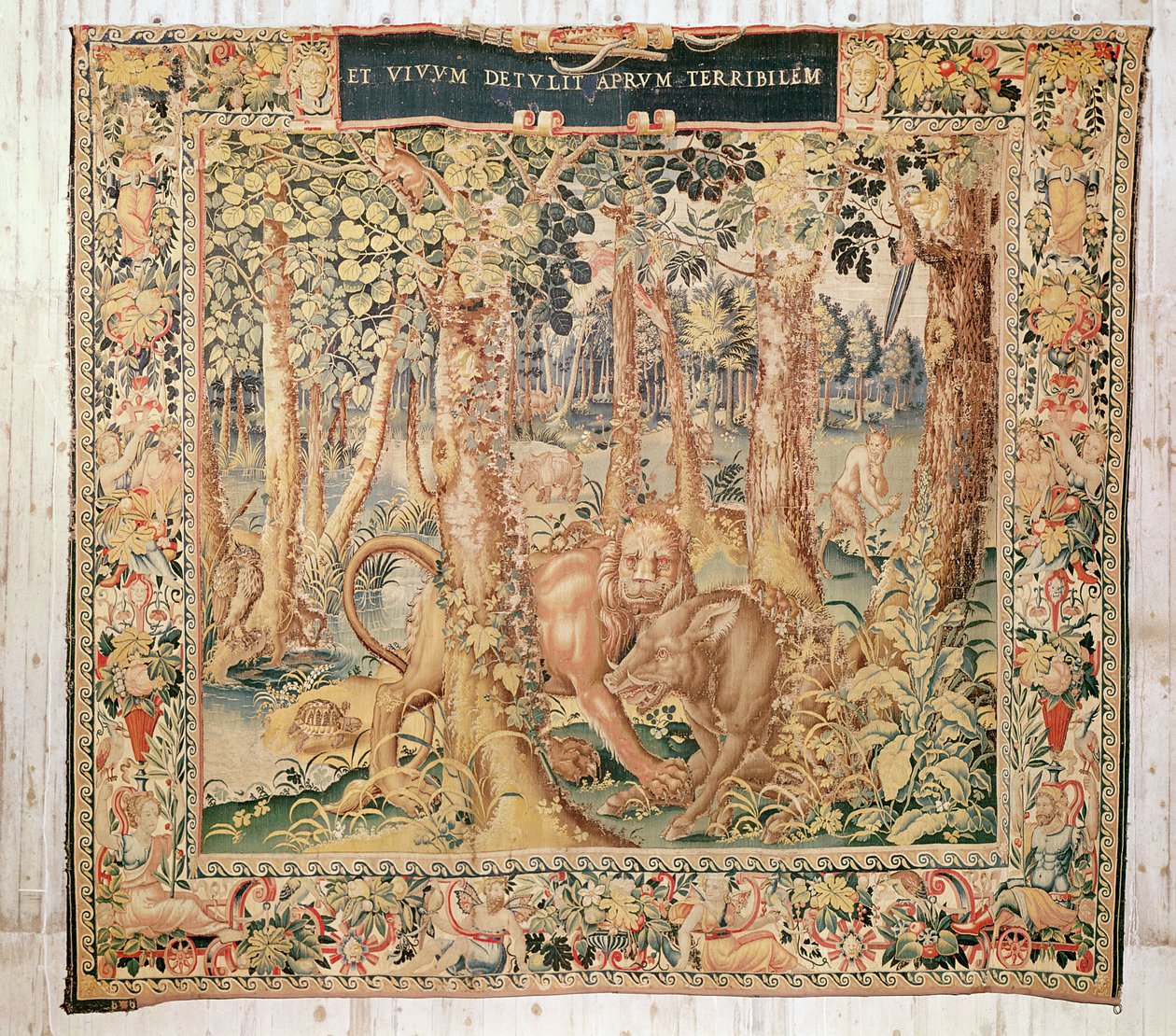 Erymanthian Domuzu, 1528
