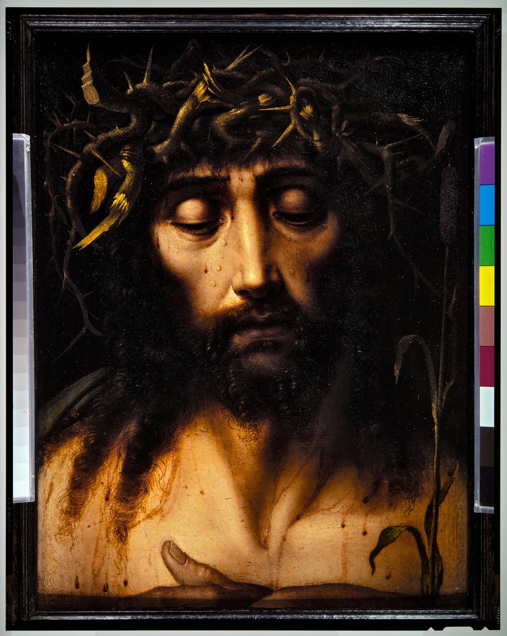  by Flemish School