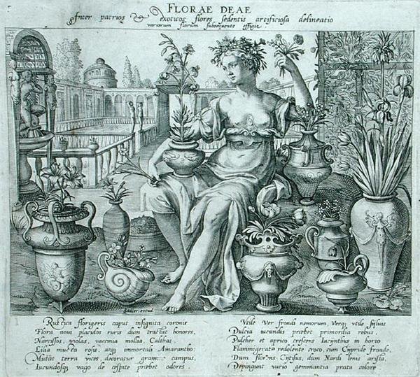 Flora (gravür) by Flemish School